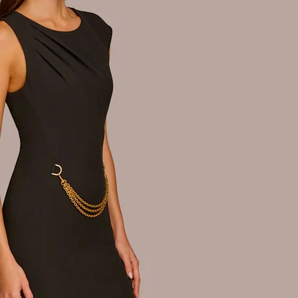 Donna Karan Black, Quiet Luxury, Sleeveless Dress (Med) with Front Gold Chain - Picture 5 of 12